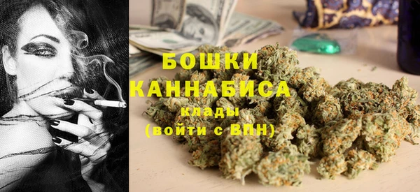 дурь Пионерский